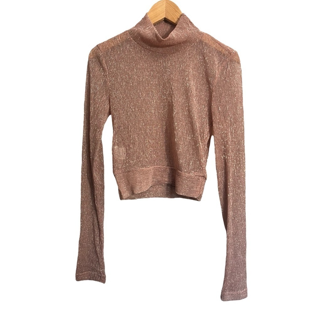 Sheer Shimmer Long Sleeve Crop Top